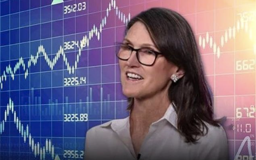 &ldquo;木头姐&rdquo;定调：特斯拉不再仅是汽车公司 Robotaxi才是估值引擎