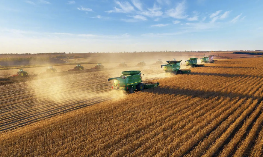 2026年中央一号文件发布 ，事关发展农业新质生产力 ，农业股配置机会来了？