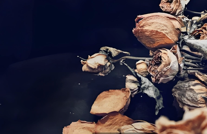 飞速创新IPO：A股折戟，港股速通！光环之下，病灶未除